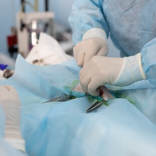 Pet Surgery in West Chester